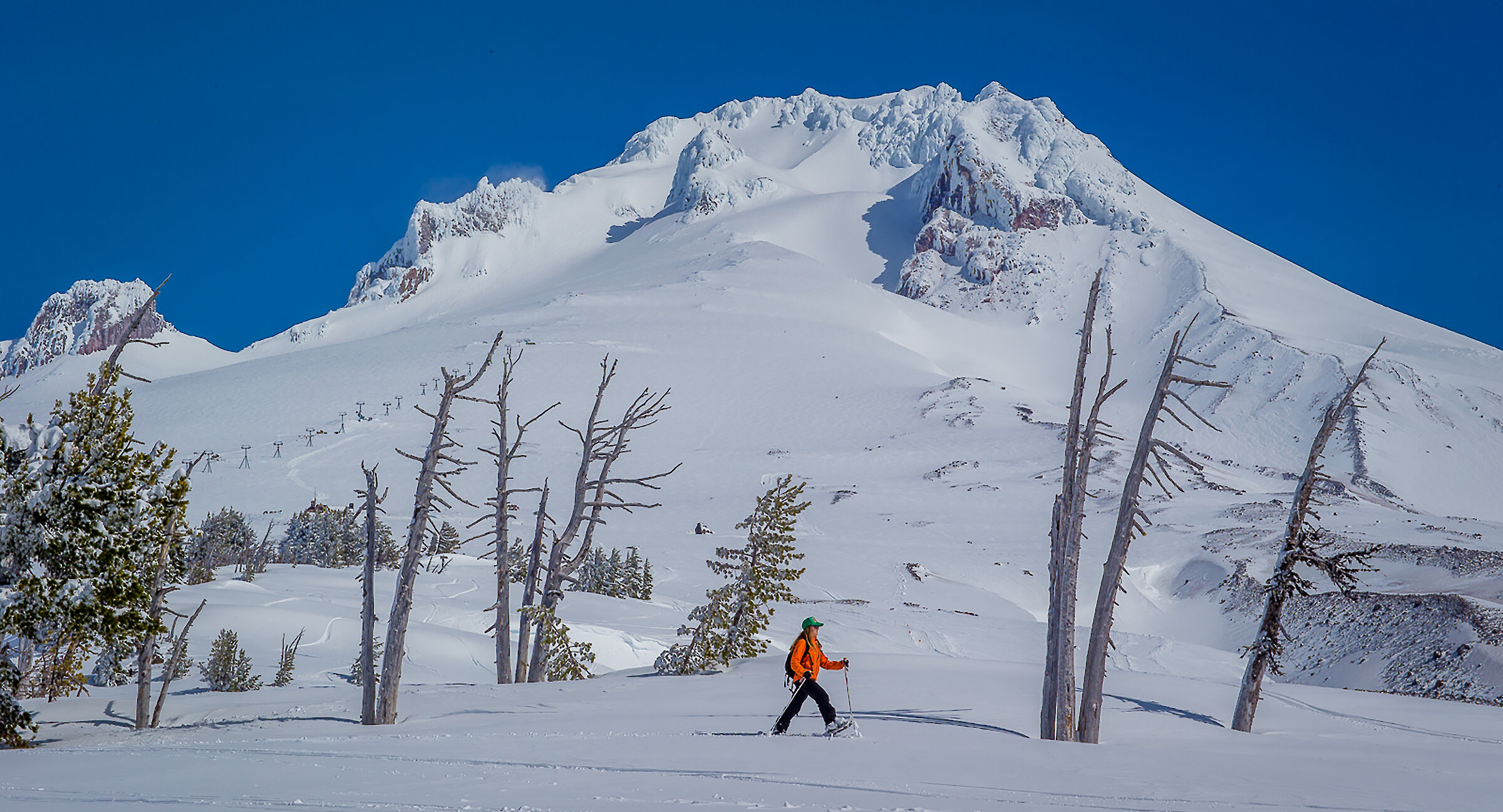 A person wearing an orange jacket snowshoes across a snowy slope near Timberline Lodge, with Mount Hood’s snow-covered peak and clear blue sky in the background.