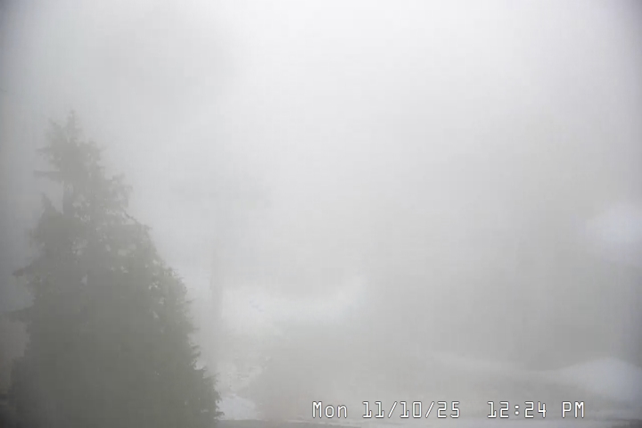 Live Feed: Magic Mile Camera