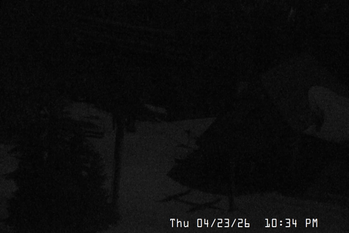 Live Feed: Magic Mile Camera