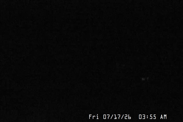 Live Feed: Magic Mile Camera