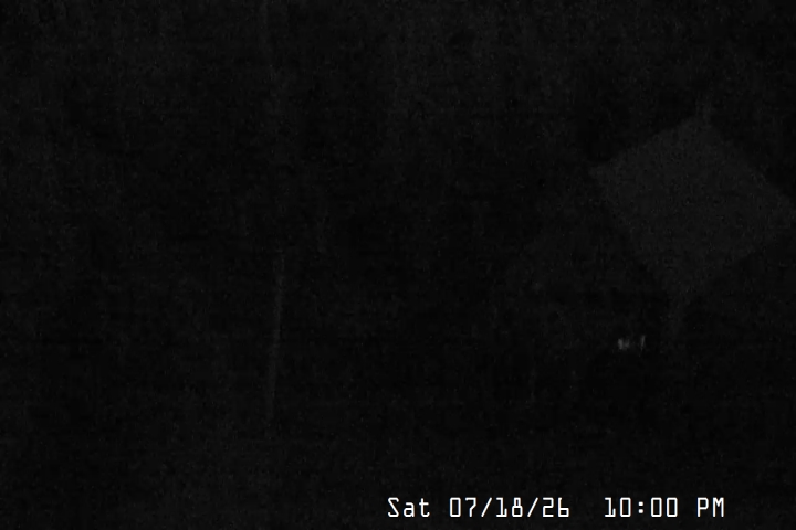 Live Feed: Magic Mile Camera