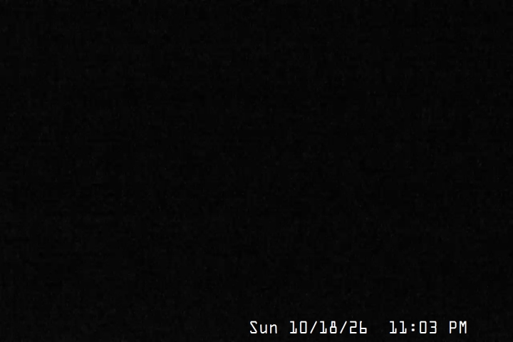Live Feed: Magic Mile Camera