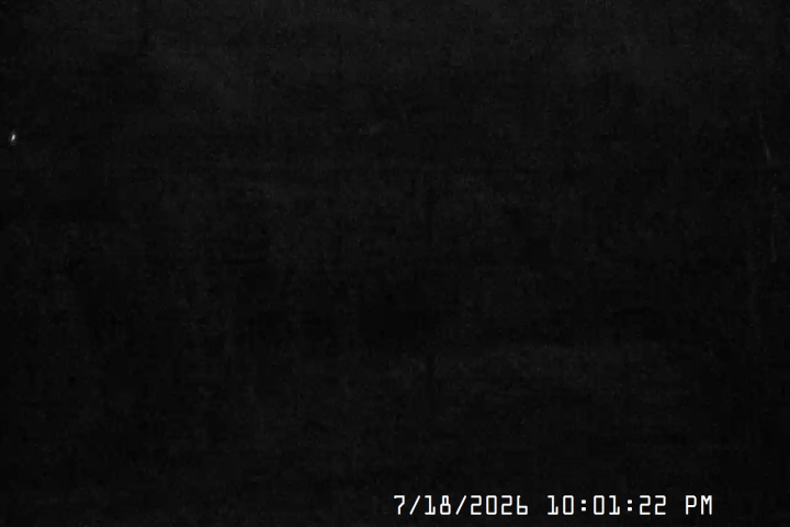 Live Feed: Jeff Flood Camera