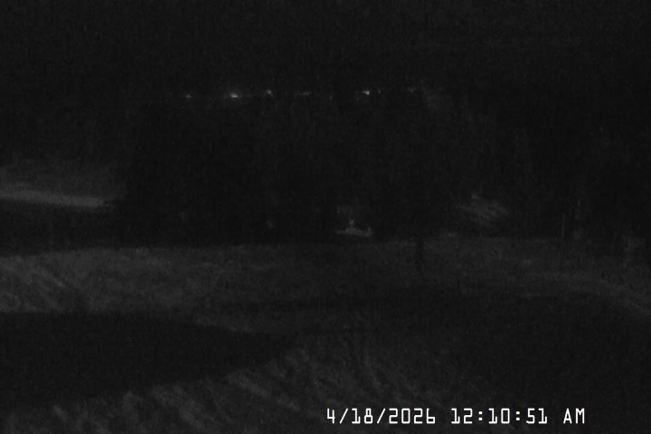 Live Feed: Bruno's Lift Camera