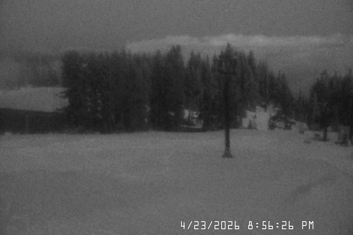 Live Feed: Bruno's Lift Camera