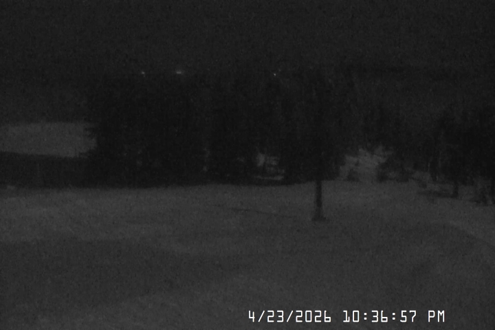 Live Feed: Bruno's Lift Camera