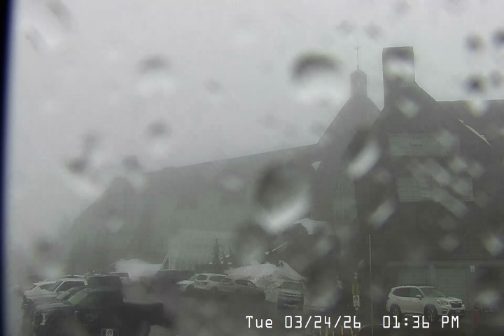 Timberline Lodge webcam