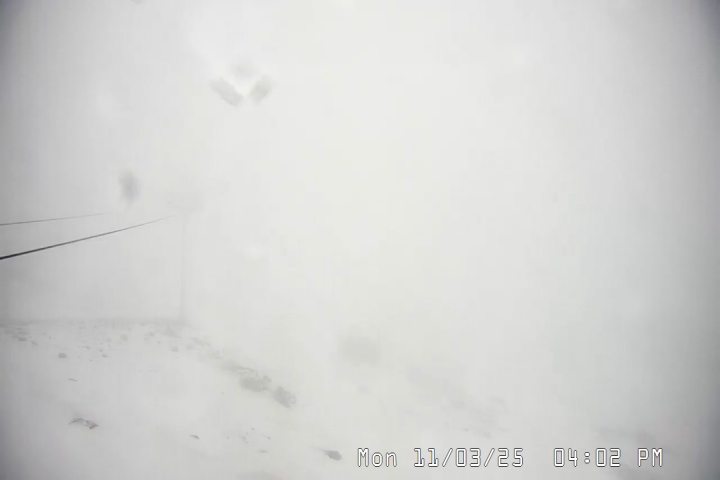 Live Feed: Palmer/Silcox Camera