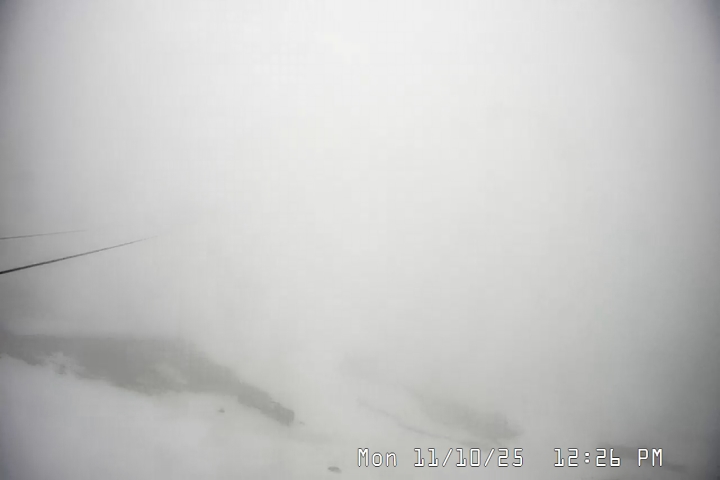 Live Feed: Palmer/Silcox Camera