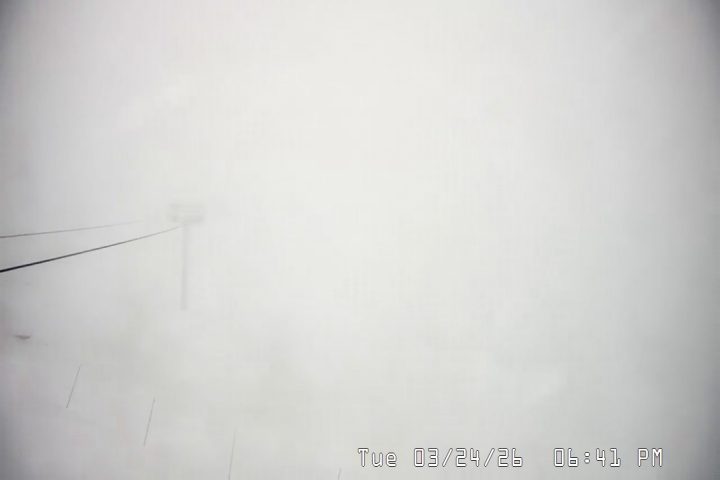 Live Feed: Palmer/Silcox Camera