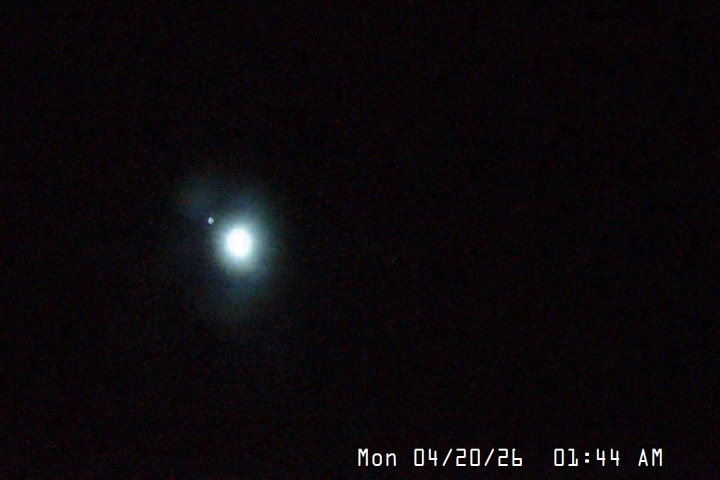 Live Feed: Palmer/Silcox Camera