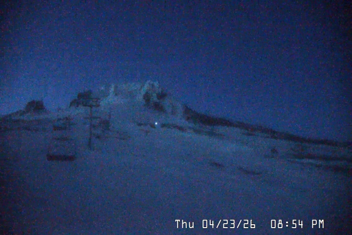 Live Feed: Palmer/Silcox Camera