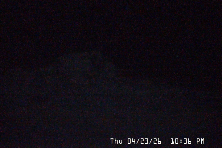 Live Feed: Palmer/Silcox Camera