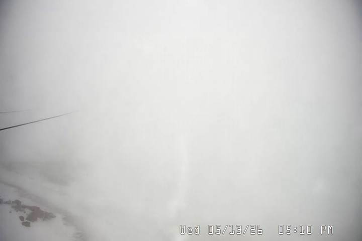 Live Feed: Palmer/Silcox Camera