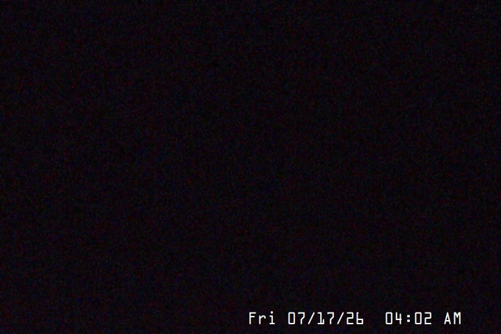Live Feed: Palmer/Silcox Camera