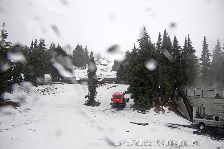 Live Feed: Pucci Camera