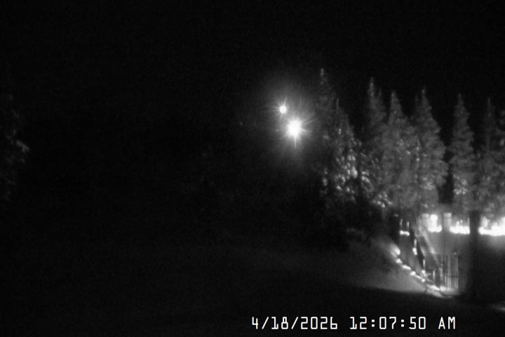 Live Feed: Pucci Camera