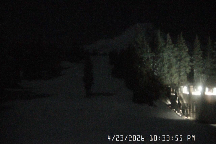 Live Feed: Pucci Camera