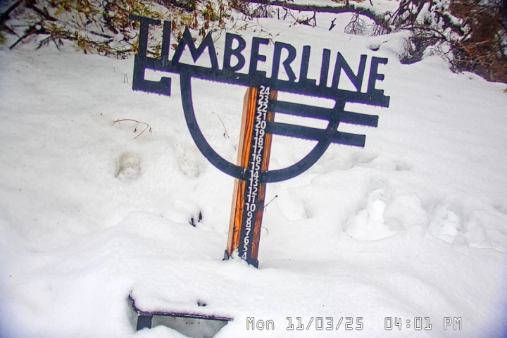 Live Feed: Snow Stake