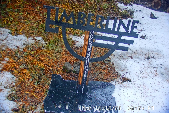 Live Feed: Snow Stake