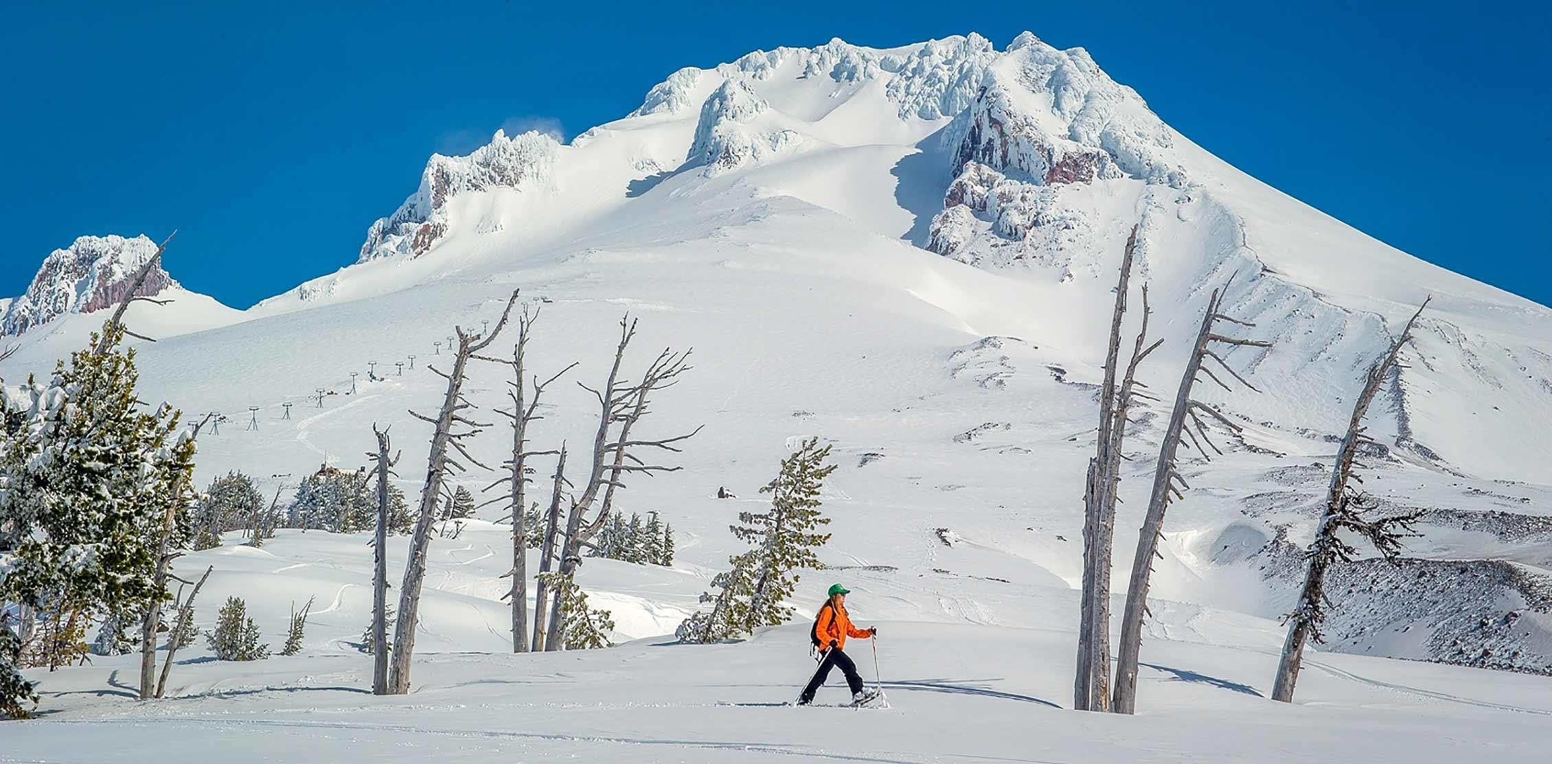 Snowshoe Rental