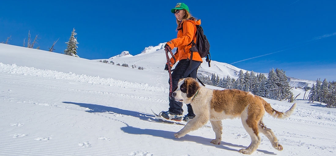 ST. BERNARD SNOWSHOE HIKE