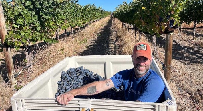 JACKALOPE WINE CELLARS FOUNDER COREY SCHUSTER SITTING IN A PICKING BIN WITH GRAPES IN A VINEYARD
