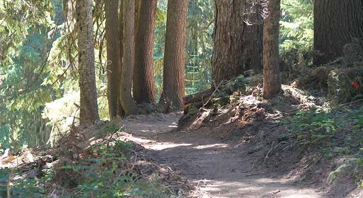 TIMBERLINE BIKE PARK