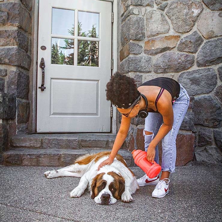 BRUNO ON TIMBERLINE'S BACK PATIO GETTING PATTED BY A FRIEND