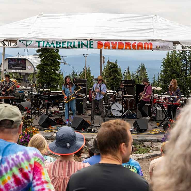 THE FUR COATS BAND PLAYING AT TIMBERLINE DAYDREAM