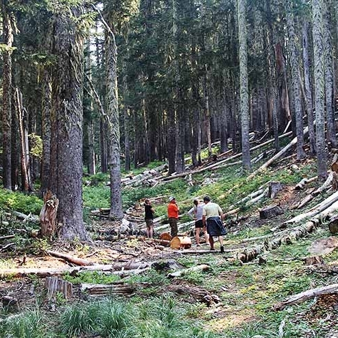 TIMBERLINE STEWARDSHIP AND SUSTAINABILITY