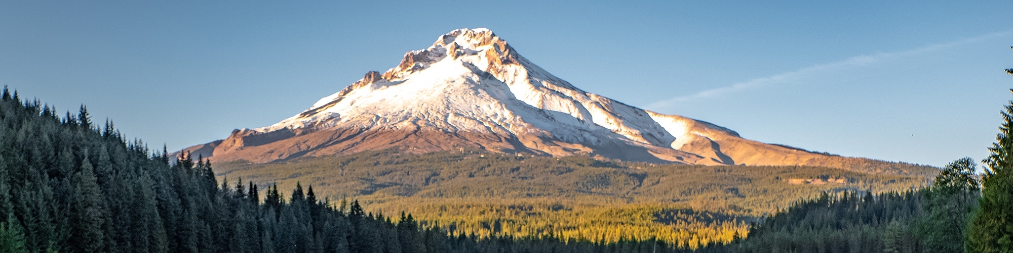 VIEW OF MT. HOOD IN THE SUMMER FROM TRILLIUM LAKE