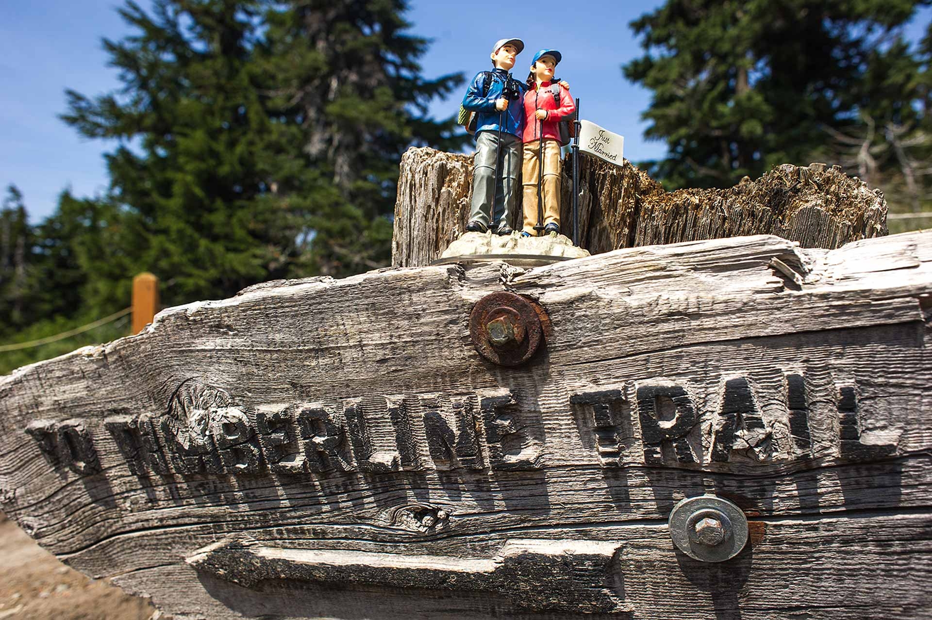 TIMBERLINE WEDDINGS AMPHITHEATER