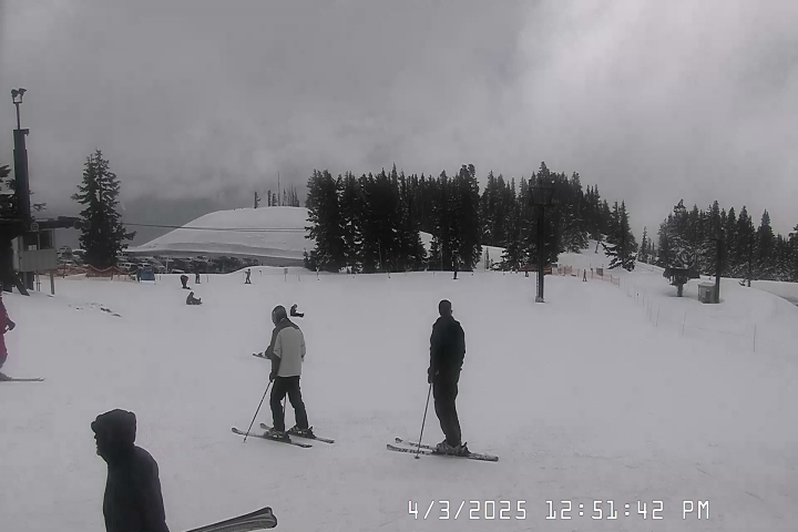 Timberline Lodge Bruno