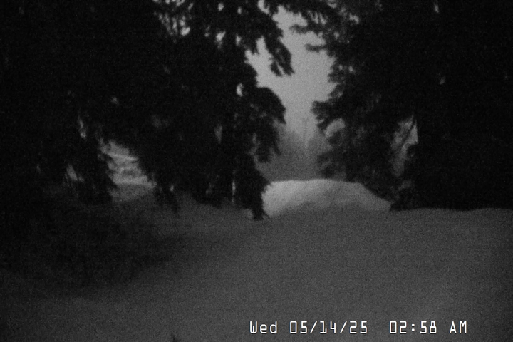 Timberline Lodge Snow Stake