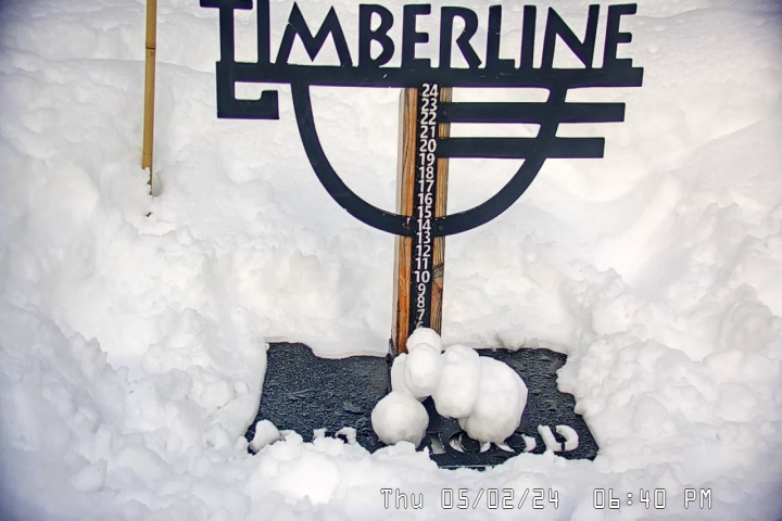Timberline Snow Stake webcam image