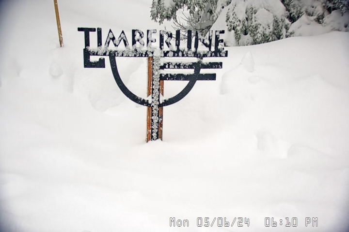 Live Feed: Timberline Snow Stake