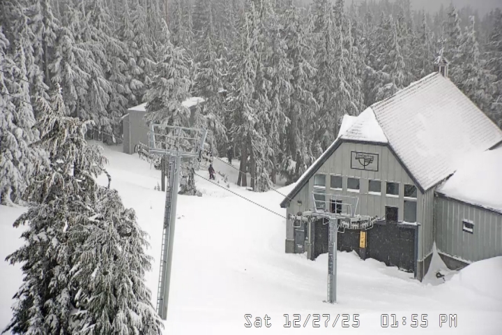 Live Feed: Magic Mile Camera