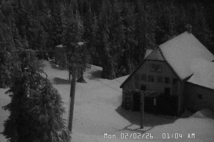 Live Feed: Magic Mile Camera