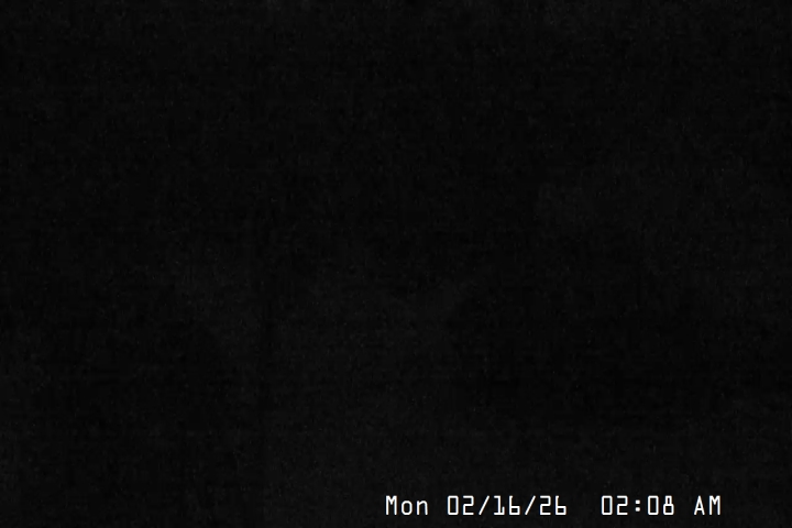 Live Feed: Magic Mile Camera