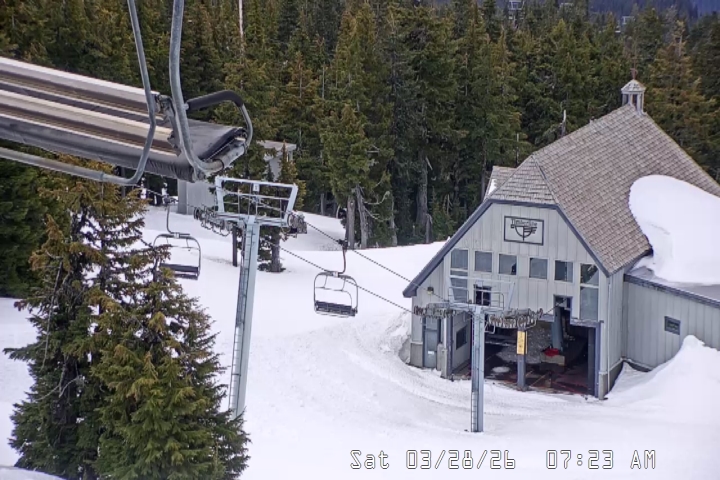 Live Feed: Magic Mile Camera