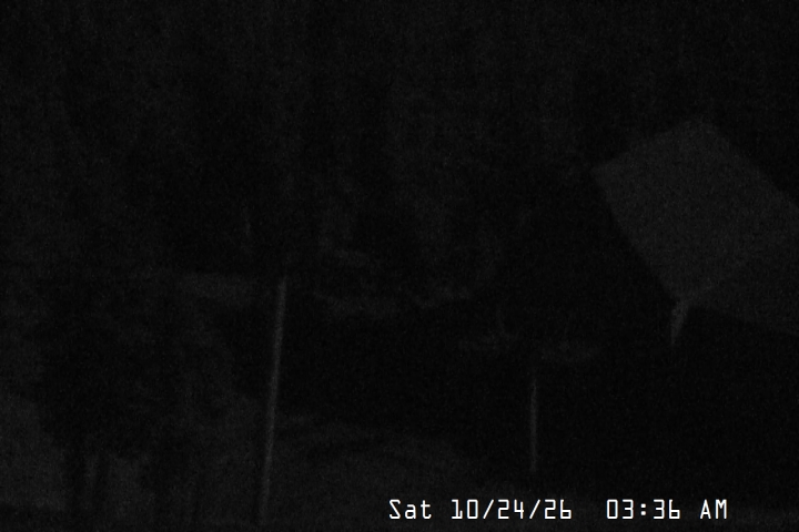 Live Feed: Magic Mile Camera