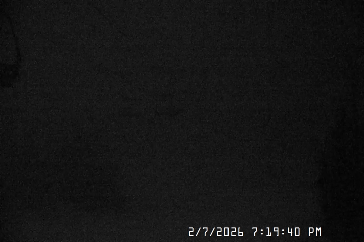 Live Feed: Jeff Flood Camera