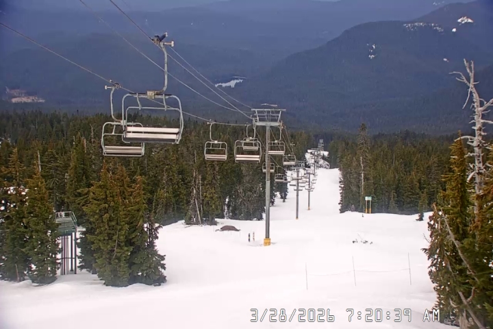 Live Feed: Jeff Flood Camera