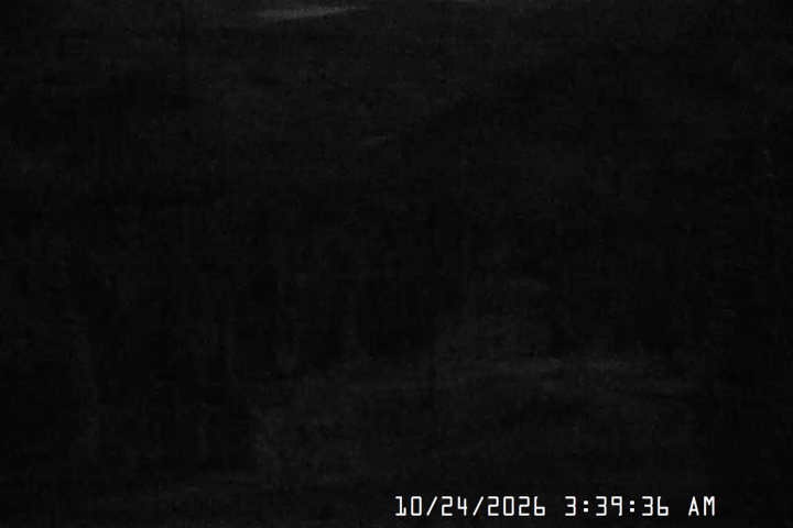 Live Feed: Jeff Flood Camera