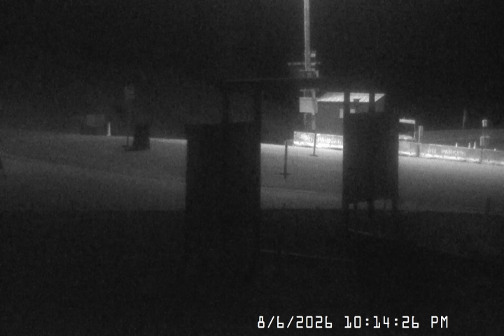bruno