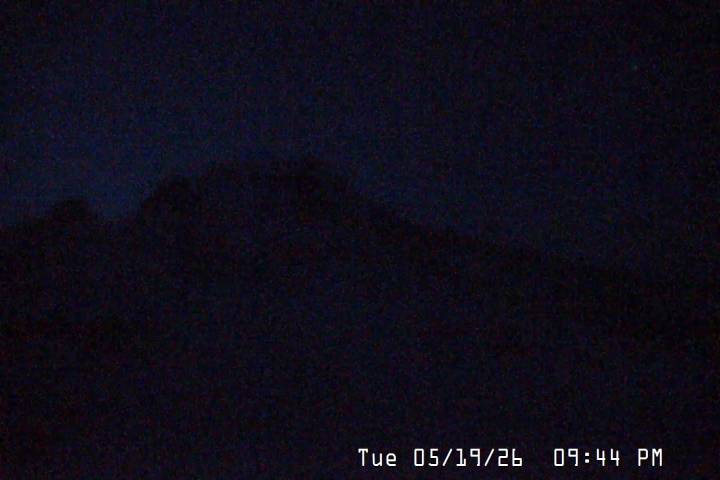 Timberline Palmer