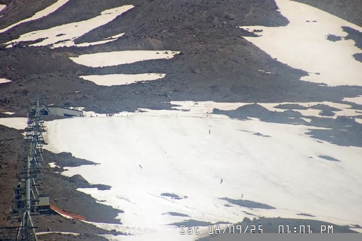 Live Feed: Palmer/Silcox Camera