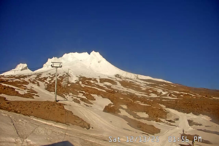 Live Feed: Palmer/Silcox Camera