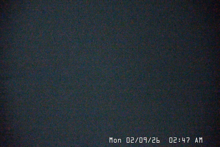 Live Feed: Palmer/Silcox Camera